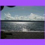 Shore - Yellowstone Lake.jpg